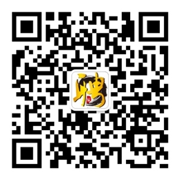 鹽城招聘網_鹽城人才網_鹽聘網 zp515.com