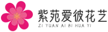 紫苑愛彼花藝工作室 - 插花培訓_包花培訓_花藝培訓_紫苑愛彼花藝培訓中心