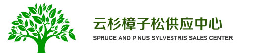 樟子松|樟子松苗|云杉苗|云杉種子|云杉樟子松供應(yīng)中心