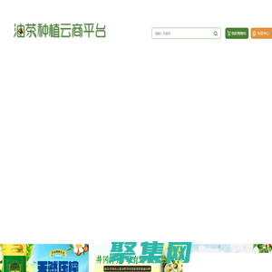 油茶種植云商平臺_重慶油茶種植門戶網(wǎng)站_重慶油茶種植_重慶油茶銷售_重慶油茶批發(fā)_重慶油茶訂購_酉陽油茶種植技術