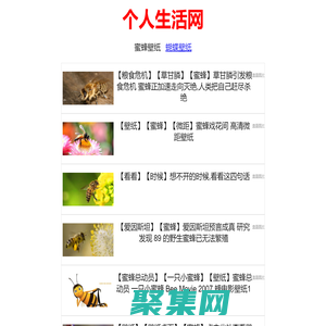 雙十一紅包網 - 淘寶京東雙十一超級紅包主會場入口、口令、密令