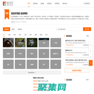 愛寵網(wǎng)您身邊養(yǎng)寵指導網(wǎng) - 愛寵網(wǎng)