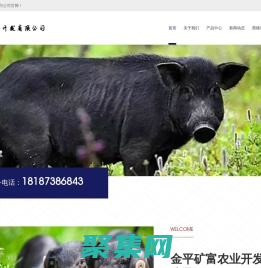 金平礦富農(nóng)業(yè)開發(fā)有限公司