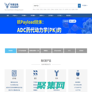 專業(yè)提供基因,重組蛋白,抗體,ELISA kit,診斷試劑原料,定制服務(wù)-華美生物