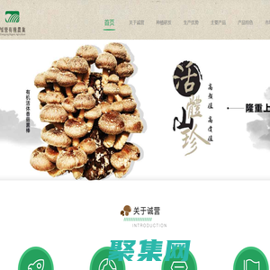 誠營有機農(nóng)業(yè)-首頁