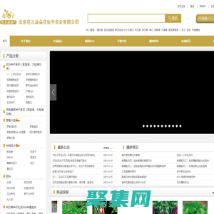 首頁―北京花仙子園藝―專業種子培育，批發零售各種花卉、花種、苗木