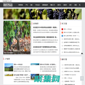 智利中央山谷網(wǎng)