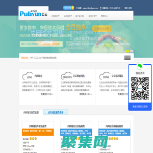 專業的云計算、動態域名服務提供商 - 公云PubYun