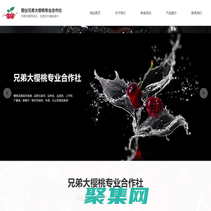 煙臺大櫻桃,煙臺大櫻桃樹苗,煙臺大櫻桃苗木合作社,煙臺兄弟大櫻桃專業(yè)合作社