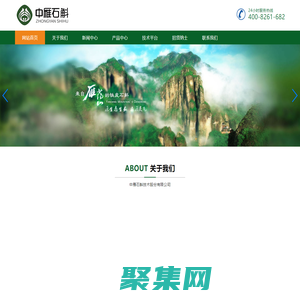 中雁石斛技術股份有限公司_鐵皮石斛