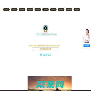 晶點寵物美容培訓(xùn)學(xué)校 - 沈陽寵物美容師培訓(xùn)學(xué)校
