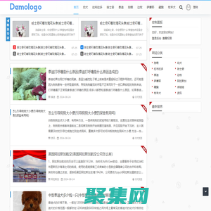 寵物 - 寵物資訊網(wǎng)