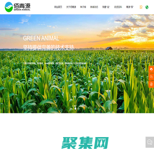 北京佰青源畜牧業(yè)科技發(fā)展有限公司 | 青綠飼料 | 紫花苜蓿