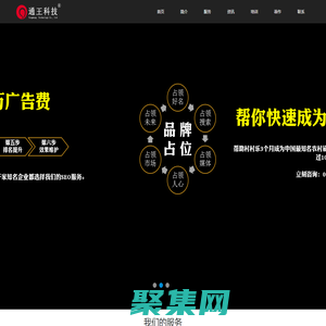 SEO·品牌推廣·網(wǎng)絡(luò)營(yíng)銷(xiāo)策劃·王通