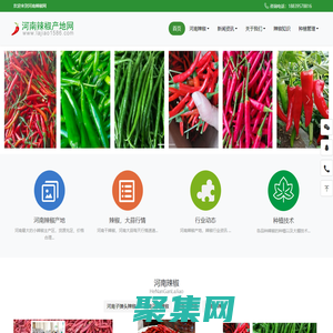 河南辣椒產(chǎn)地網(wǎng)-河南辣椒|河南花皮小辣椒|河南辣椒產(chǎn)地|河南三鷹椒八號(hào)|河南干辣椒|二紅辣椒|干綠椒|河南紅太陽辣椒|河南辣椒價(jià)格行情|河南朝天椒