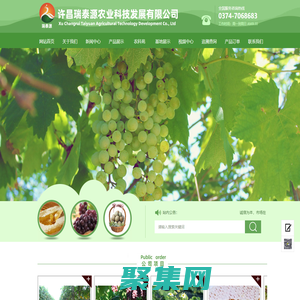 許昌草莓園|許昌葡萄園|許昌農(nóng)業(yè)公司|許昌瑞泰源農(nóng)業(yè)科技發(fā)展有限公司
