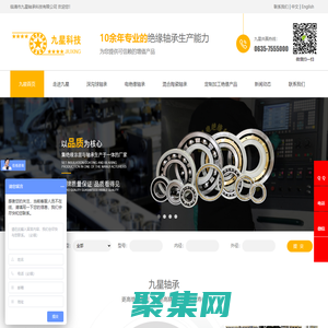 九星電絕緣軸承，電絕緣軸承專業(yè)生產(chǎn)廠家