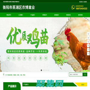 衡陽市蒸湘區(qū)農博禽業(yè)養(yǎng)殖孵化場 - 衡陽綠殼蛋雞_衡陽快大型肉雞_衡陽土雞