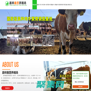 肉牛養(yǎng)殖_肉驢養(yǎng)殖_本地廠家供應(yīng)_嘉祥鑫罡養(yǎng)殖場(chǎng)_官網(wǎng)