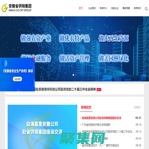 安徽省供銷集團(tuán)有限公司