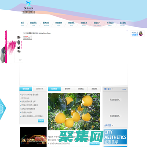 中國(guó)美術(shù)學(xué)院望境創(chuàng)意發(fā)展有限公司