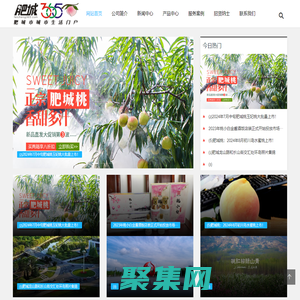 肥城生活網-肥城365天,天天快樂。 - www.feicheng365.com