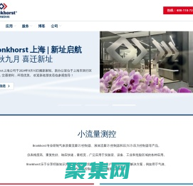 質(zhì)量流量計_氣體質(zhì)量流量計_質(zhì)量流量控制器-Bronkhorst - 布瑯軻鍶特