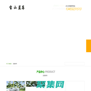 山東青島藍(lán)莓寶山基地｜微：a773857755｜藍(lán)莓寶山鮮果｜百度推薦寶山藍(lán)色基地優(yōu)質(zhì)服務(wù)公告2024已更-寶山藍(lán)莓鮮果