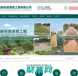臨沂新創(chuàng)意景觀工程有限公司-高承載植草地坪,露骨料透水混凝土,透水混凝土,彩色防滑路面,彩色壓模地坪