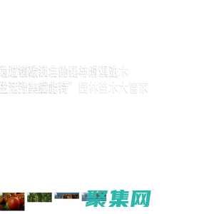 博華生態農業,山東博華官網_山東博華高效生態農業科技有限公司